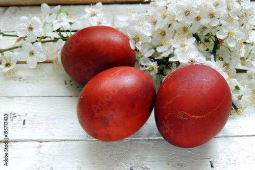 Easter eggs and cherry twigs photo