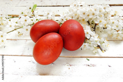 Easter eggs and cherry twigs photo