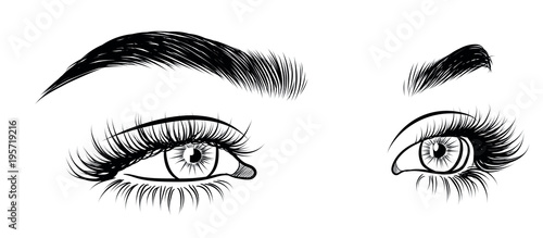 Illustration of woman's sexy luxurious eye with perfectly shaped eyebrows and full lashes. Hand-drawn Idea for business visit card, typography vector. Perfect salon look.