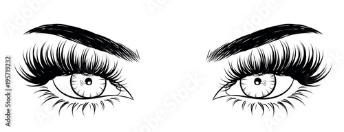 Illustration of woman's sexy luxurious eye with perfectly shaped eyebrows and full lashes. Hand-drawn Idea for business visit card, typography vector. Perfect salon look.