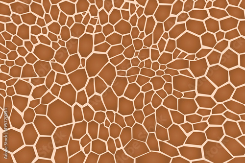 giraffe texture pattern brown white safari zoo jungle print