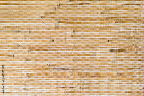 bamboo texture background
