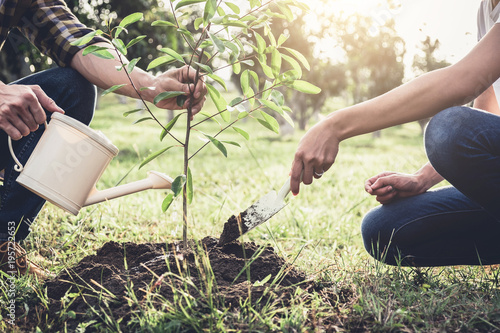Canvas Print Young couple planting the tree while Watering a tree working in the garden as sa