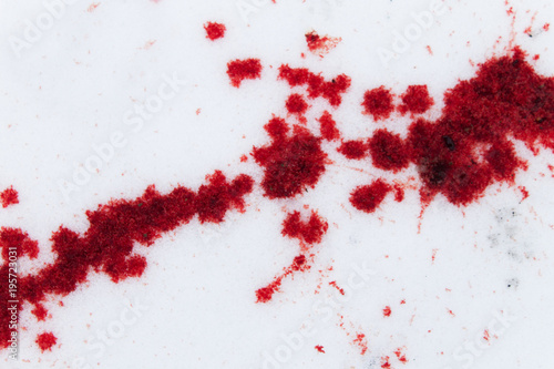 splashed blood on the snow. crime scene