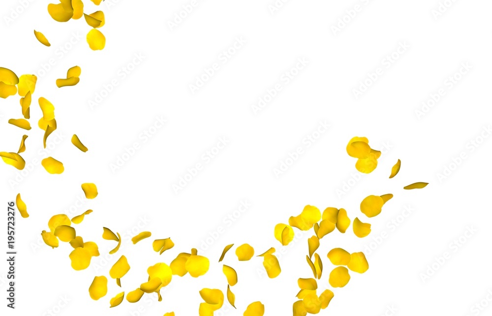 Yellow rose petals fly in a circle. The center free space for Your photos or text. Isolated white background