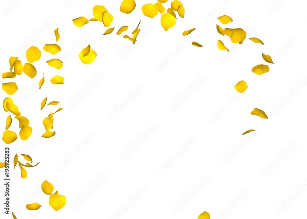 Yellow rose petals fly in a circle. The center free space for Your photos or text. Isolated white background Yellow rose petals fly in a circle. The center free space for Your photos or text. Isolated white background