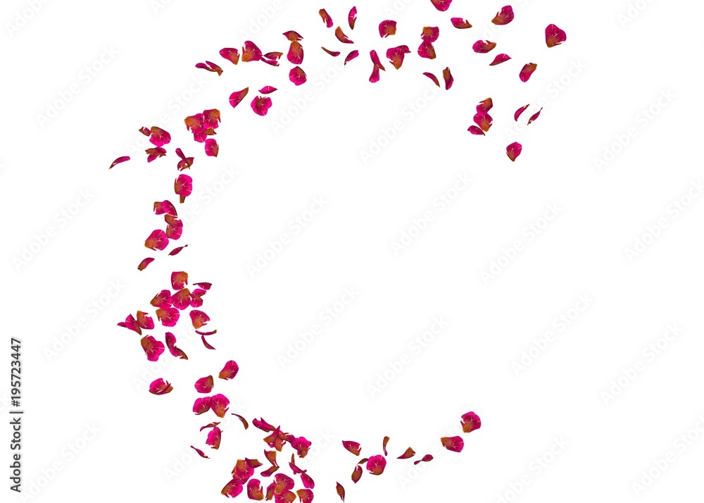 Ribbed red petals fly in a circle. The center free space for Your photos or text