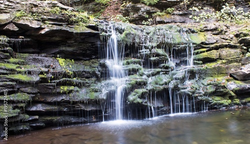 Waterfall at Ricketts Glen State Park  PA
