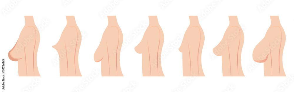 breast size and type vector Stock Vector