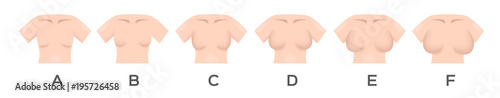 breast size and type vector