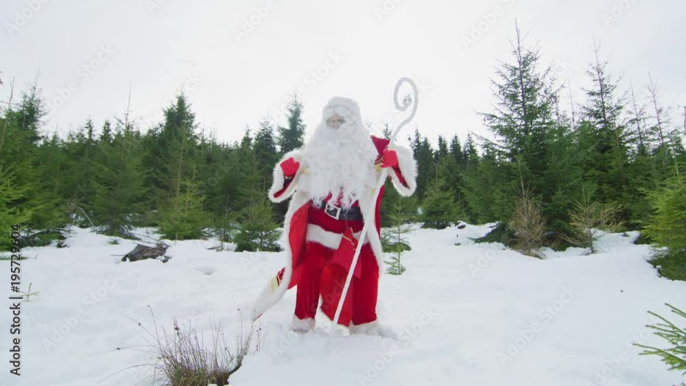 Dancing Santa Dancing Santa