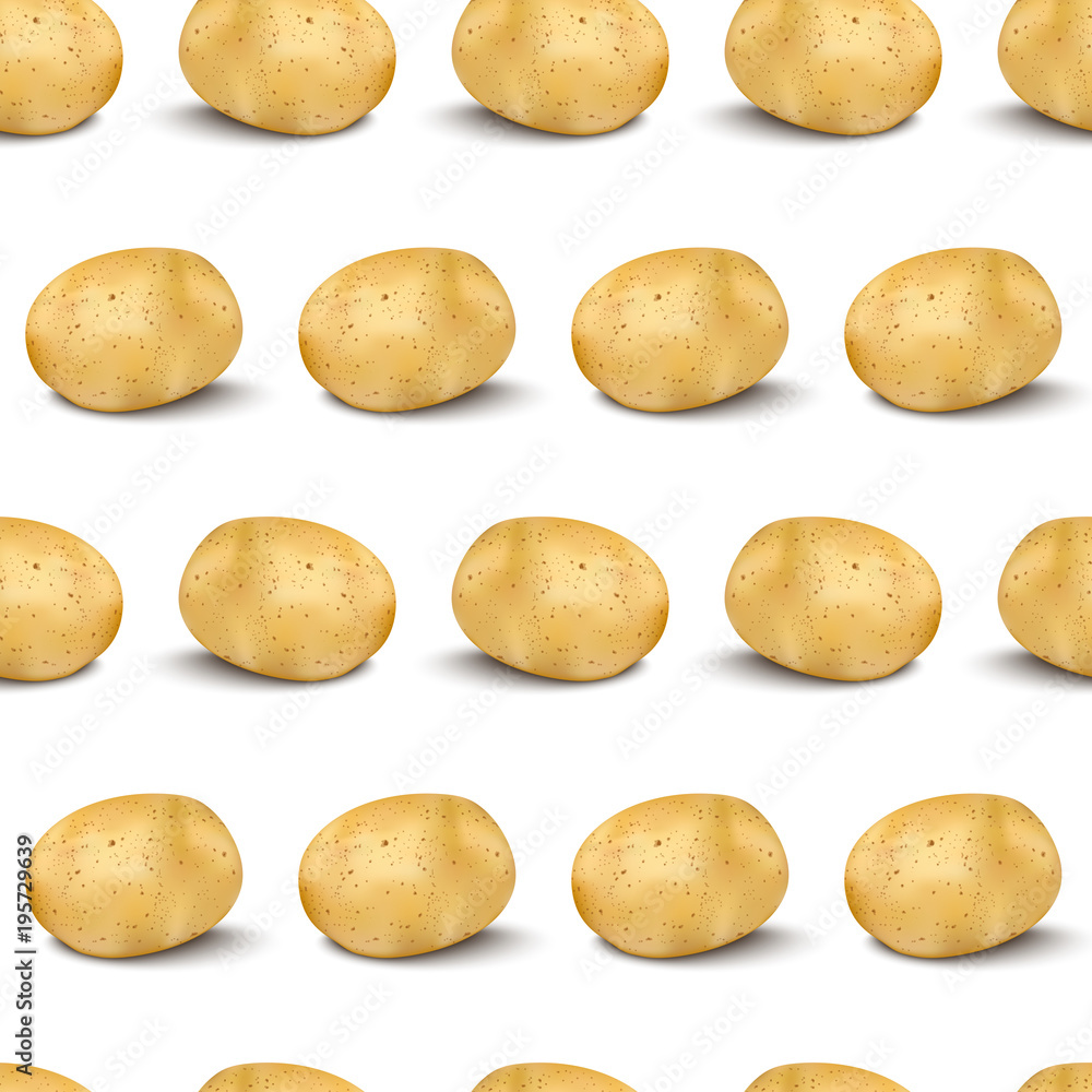 Young potato isolated on white background. Harvest new. Flat lay, top view Young potato isolated on white background. Harvest new. Flat lay, top view