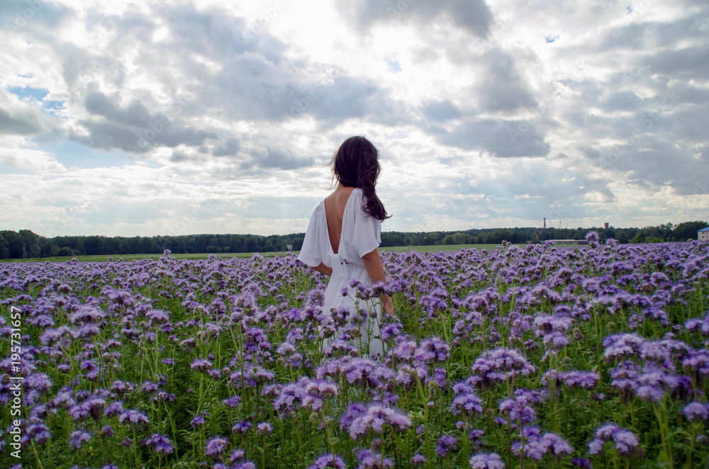 beautiful young girl in a white dress in a field of flowers beautiful young girl in a white dress in a field of flowers