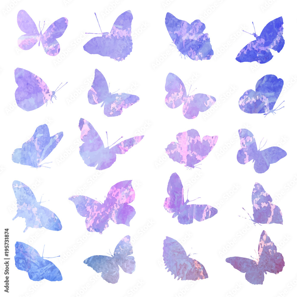A set of animal images are insulated in blue and pink tones on a