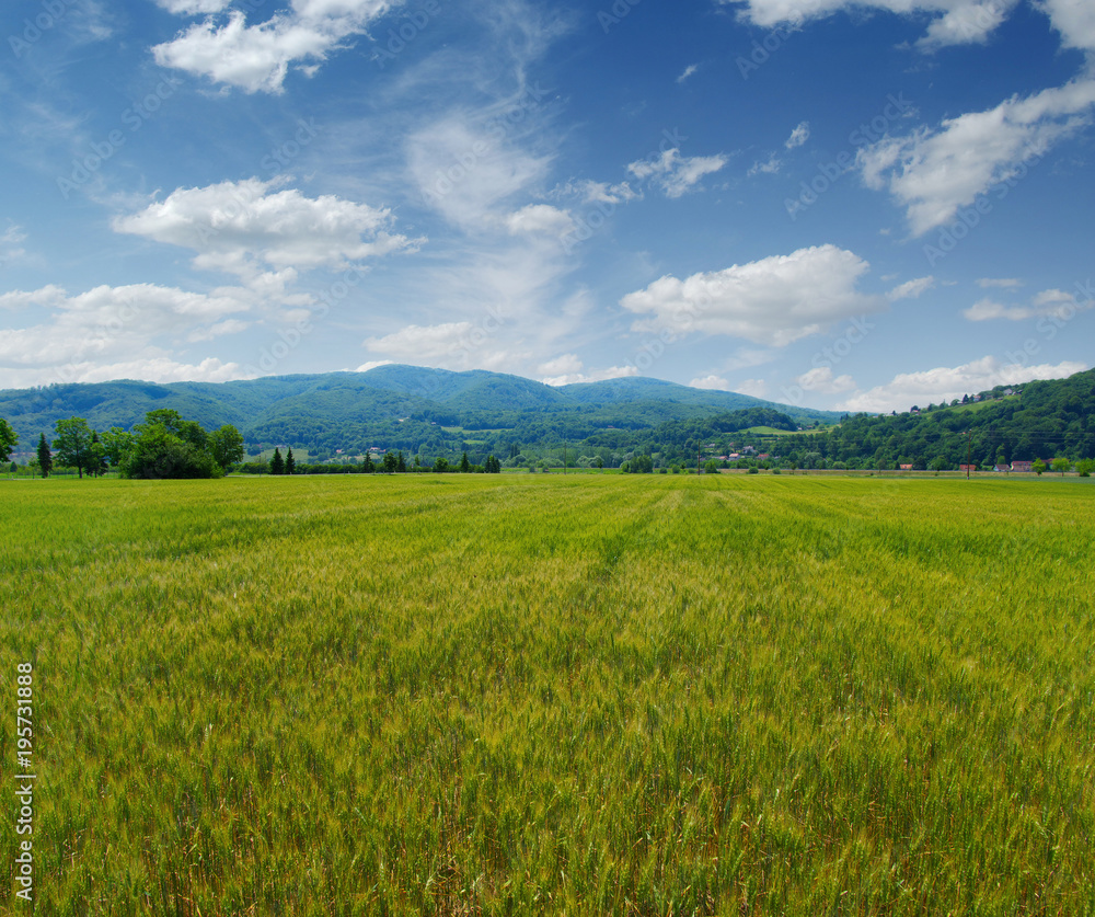 Mountain landscape summer