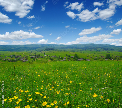 Mountain landscape summer