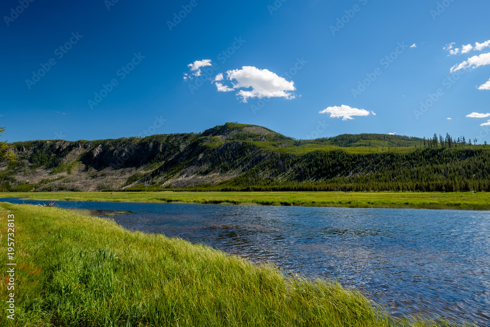 Madison River, Yellowstone National Park, Wyoming