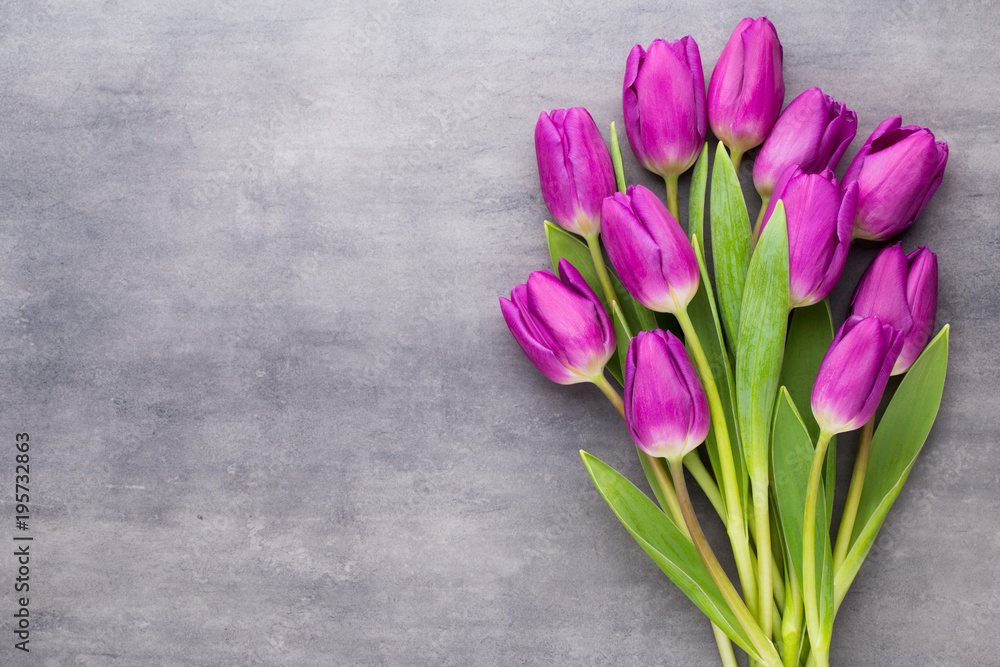 Multicolored spring flowers, tulip on a gray background.