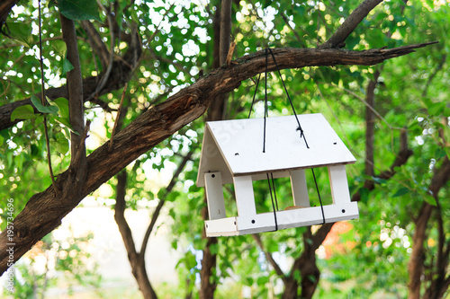 White wooden bird feeder hanging on a branch of green tree. Nature care concept. © yolya_ilyasova