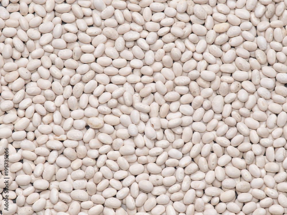 a crop of beans close-up. a crop of beans close-up.