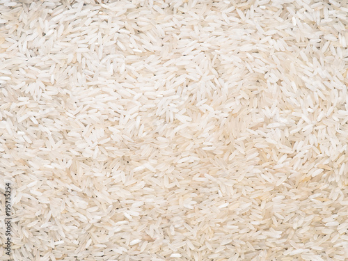 the rice grains. closeup