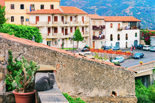 Quadro su tela Beautiful cityscape with cat and Savoca village