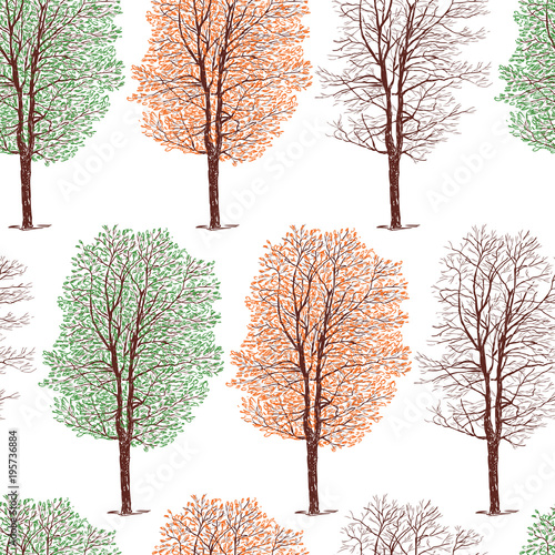 Pattern of the trees in the different seasons