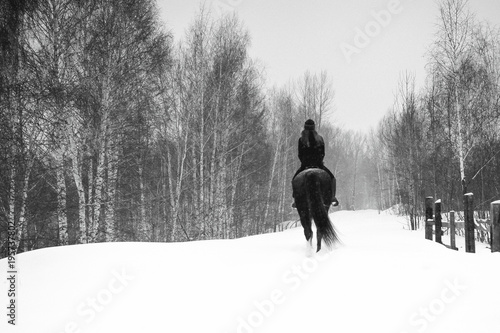 Female rider and horse in the open air. portrait of a beautiful young woman with her stallion, outdoors in winter