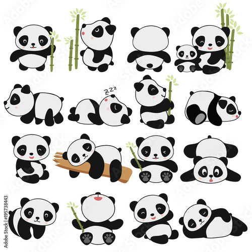Fototapeta rysunek słodka panda z dużą różnorodnością