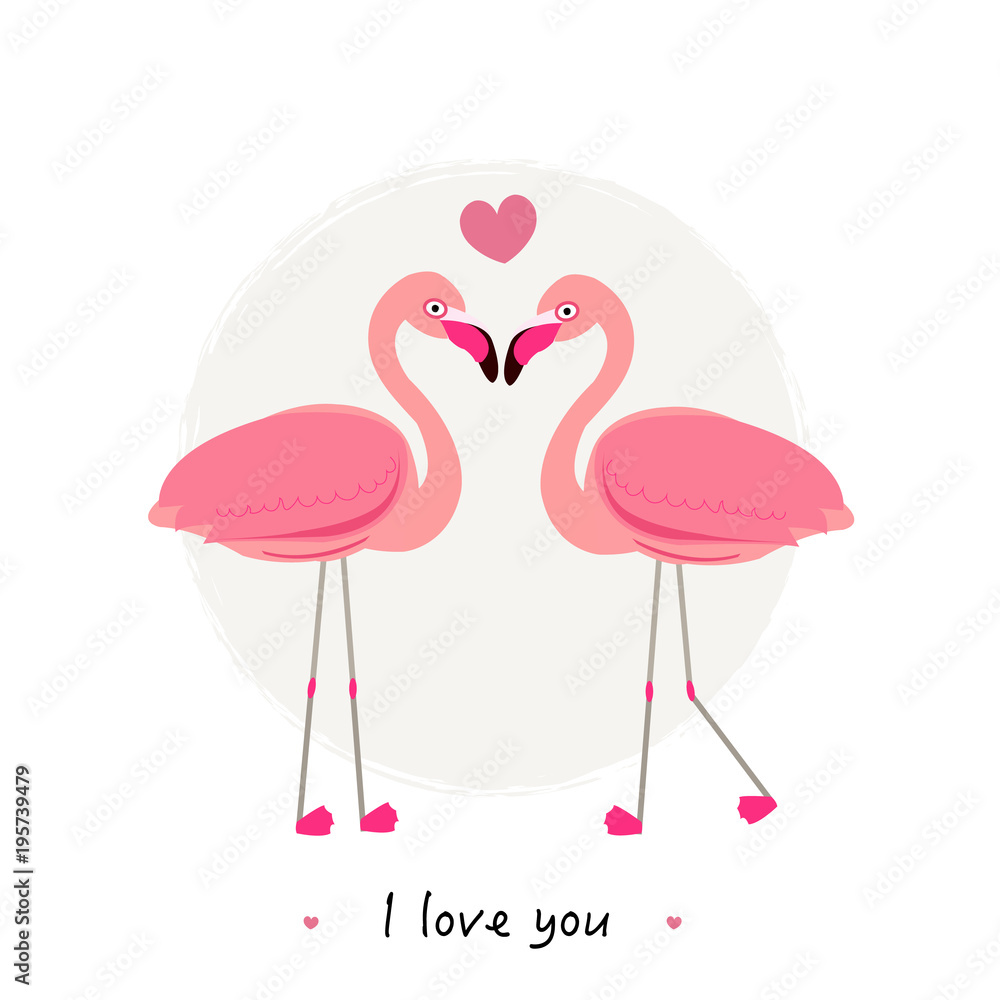 Fototapeta premium Flamingos. Couple of tropical and exotic birds. Two cartoon flamingo on white background set.''i love you'' text