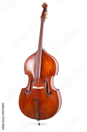 Double bass on white background