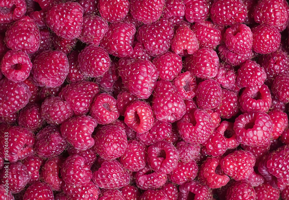 bright delicious natural background of many ripe juicy red fragrant raspberry berries bright delicious natural background of many ripe juicy red fragrant raspberry berries