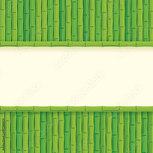 Green bamboo background. Vector illustration