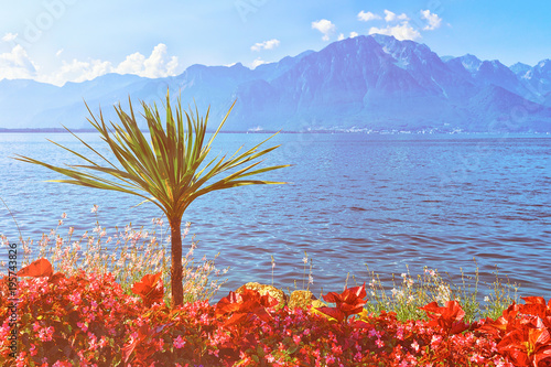 Plants blooming promenade of Geneva Lake in Montreux Riviera