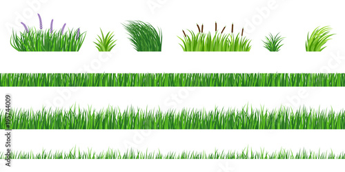 Horizontal seamless elements of green grass of different degree of germination. Strizhenaya and fresh vegetation. Bushes with flowers and reeds.