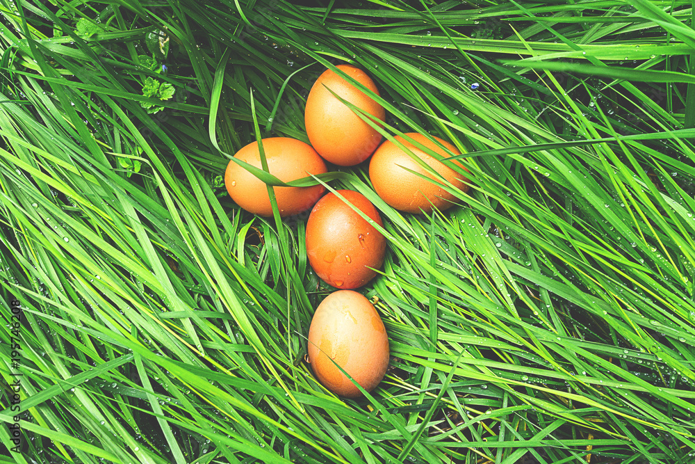 Croce uova di Pasqua Croce uova di Pasqua