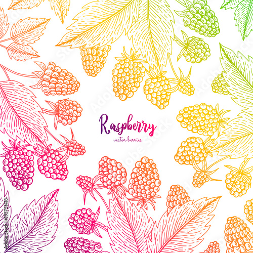 Colorful vector frame with raspberry. Healthy food design template with berries. Vegetarian food for label, packaging design, menu, cafe, restaurant, recipes, decoration kitchen items.
