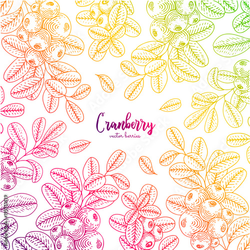 Colorful vector frame with cranberry. Healthy food design template with berries. Vegetarian food for label, packaging design, menu, cafe, restaurant, recipes, decoration kitchen items.
