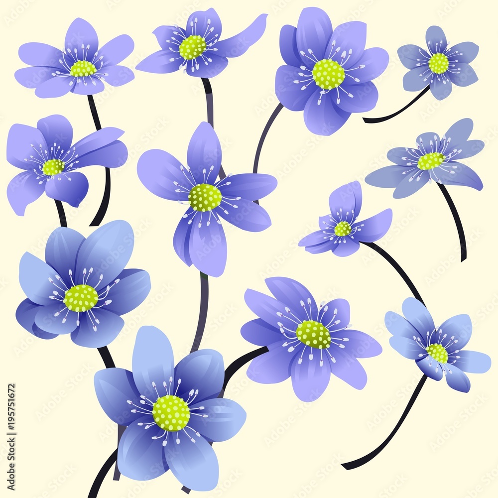 Obraz premium Set of blue spring flowers, mayflowers