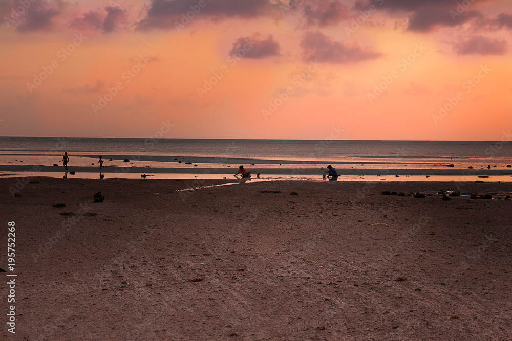 Women and children looking for shells in the sea during sunset.