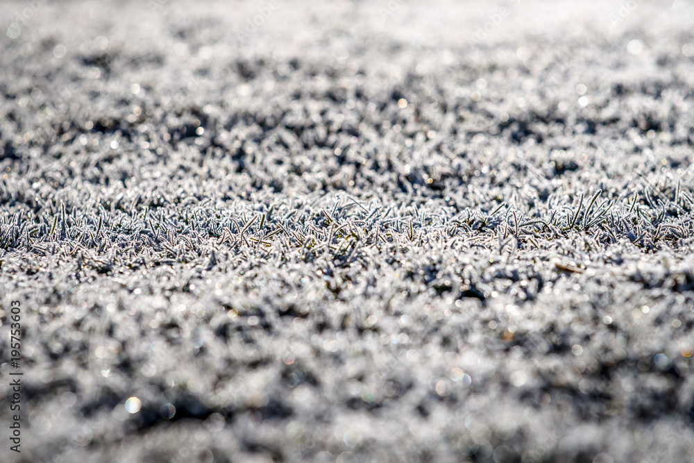 Grass covered with the hoarfrost at dawn Grass covered with the hoarfrost at dawn