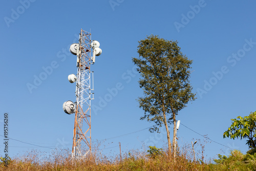 Cellular tower and tree against the blue sky photo