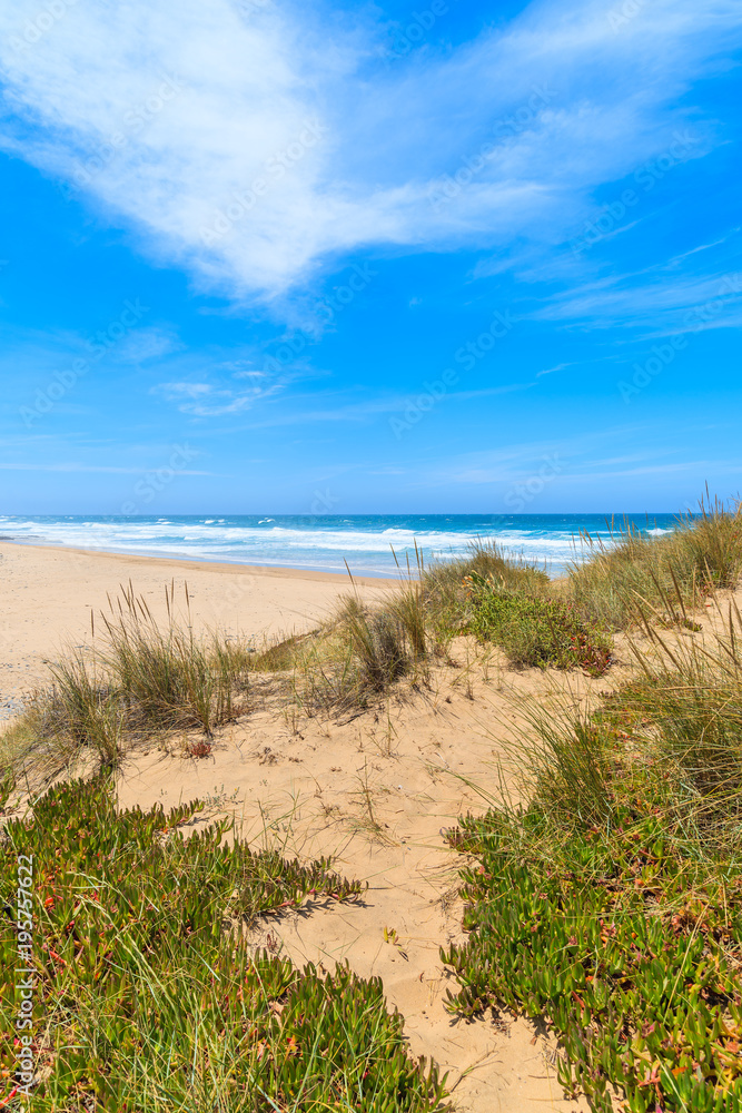 A view of sandy Castelejo beach from sand dune, famous place for surfing, Algarve region, Portugal