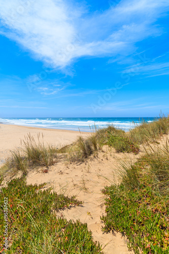 A view of sandy Castelejo beach from sand dune  famous place for surfing  Algarve region  Portugal