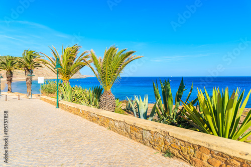 Coastal promenade with palm trees in Luz town  Algarve region  Portugal