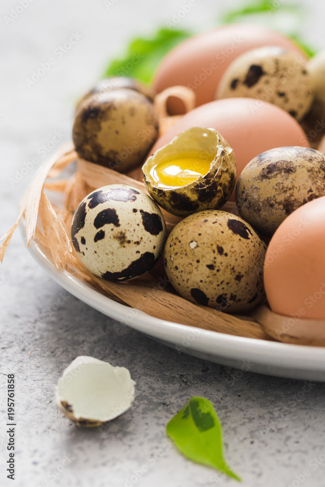 Festive Easter eggs in plate on concrete background. Selective focus, space for text.