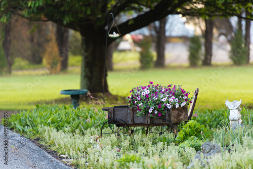 Wallpaper Mural Garden wagon, plant Torontodigital.ca