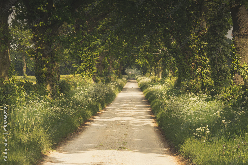 Obraz premium British Countryside