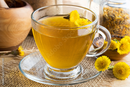 Fresh coltsfoot (Tussilago farfara) tea with coltsfoot flowers