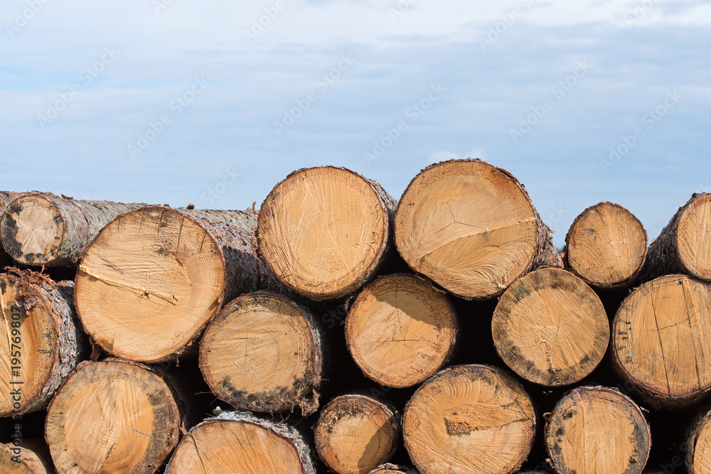 Gestapelte Holzstämme, Fichtenholz Gestapelte Holzstämme, Fichtenholz